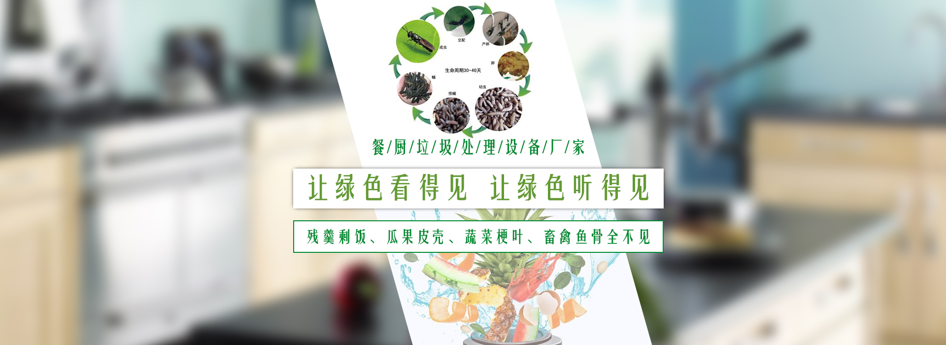 餐廚垃圾處理設(shè)備