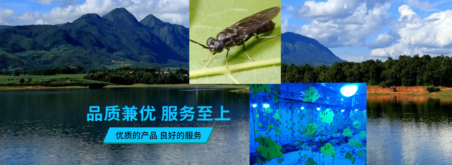 餐廚垃圾處理設(shè)備廠家